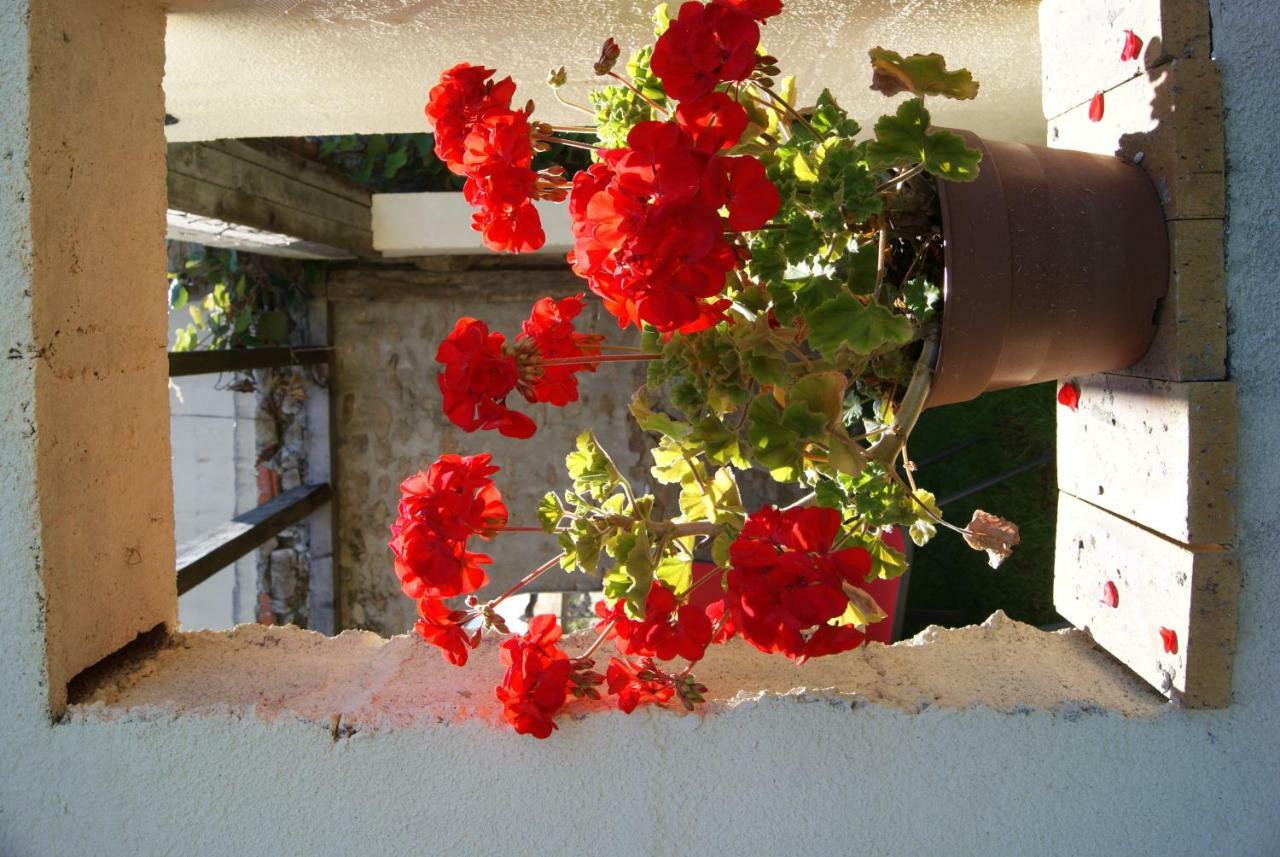 Bed and Breakfast 38 Friaudour Saint-Pardoux-lʼOrtigier Exterior foto